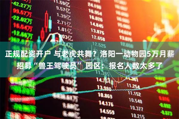 正规配资开户 与老虎共舞？洛阳一动物园5万月薪招募“兽王驾驶员” 园区：报名人数太多了