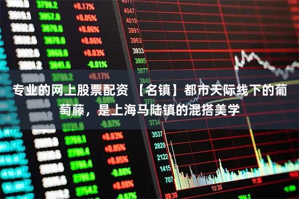 专业的网上股票配资 【名镇】都市天际线下的葡萄藤，是上海马陆镇的混搭美学